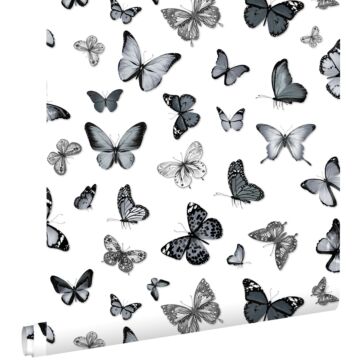tapet fjärilar svart och vitt