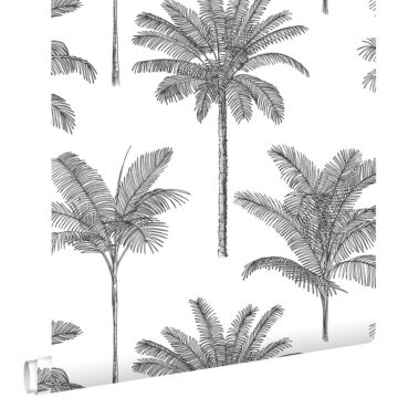 tapet palmer svart och vitt