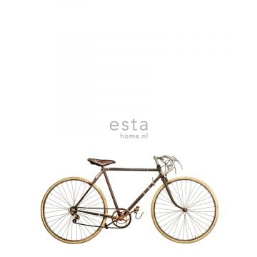 fototapet gammal cykel vitt, brunt och beige