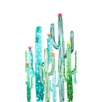 fototapet akvarellmålad blommande kaktus tropiskt djungelgrönt och turkost