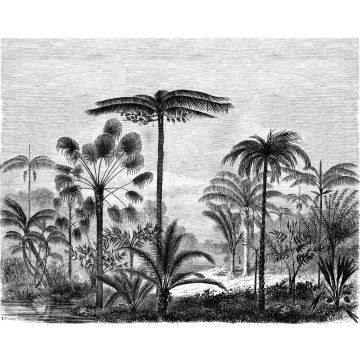 fototapet tropiskt landskap med palmer svart och vitt