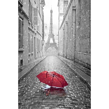 fototapet Paris svart-vitt-rött paraply grått och rött