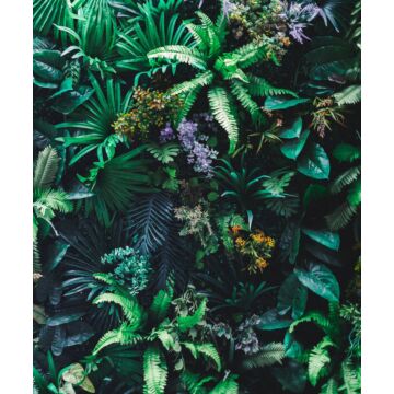 fototapet tropiska växter grönt