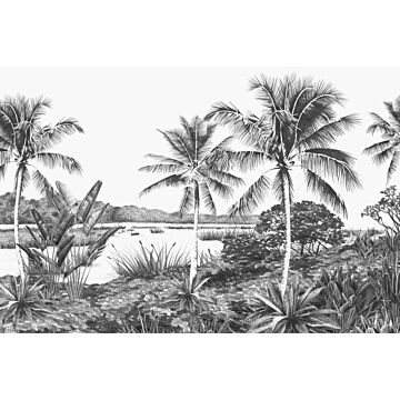 fototapet tropiskt landskap med palmer svart och vitt