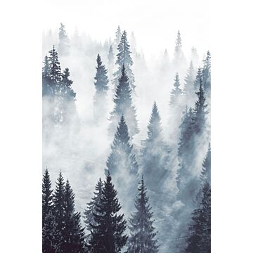 fototapet dimmig skog grönt