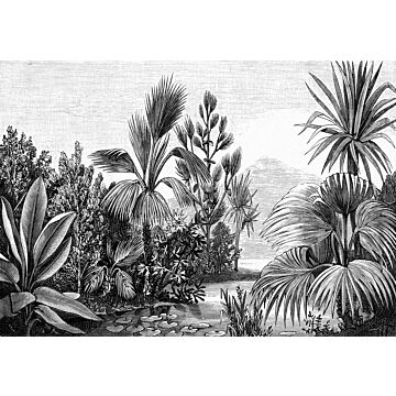 fototapet tropiskt landskap svart och vitt