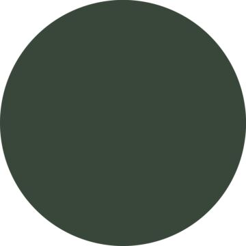 väggfärg matt  mörkgrönt