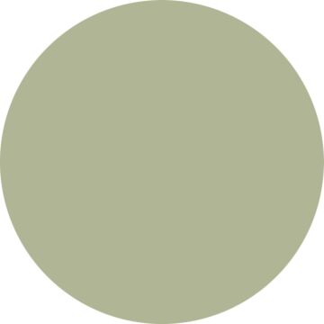 väggfärg matt  grågrönt