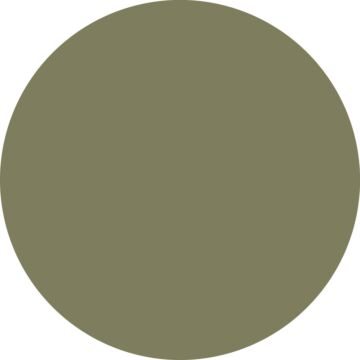 väggfärg matt  gråaktigt olivgrönt