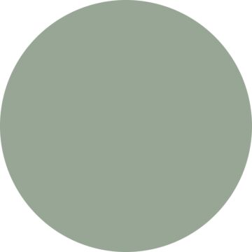 väggfärg matt  mintgrönt